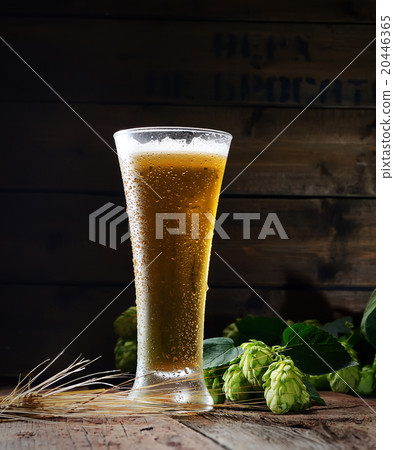 glass of beer and hop on a wooden background glass of beer and hop on a wooden background 20446365