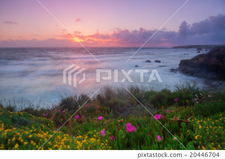 Magic sunset on the Algarve. Portugal. 20446704