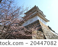 Akashi Castle 20447082