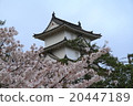 Akashi Castle 20447189