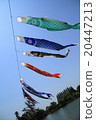    Carp streamer 20447213