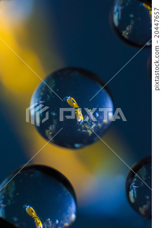 水族館京都魚 20447657