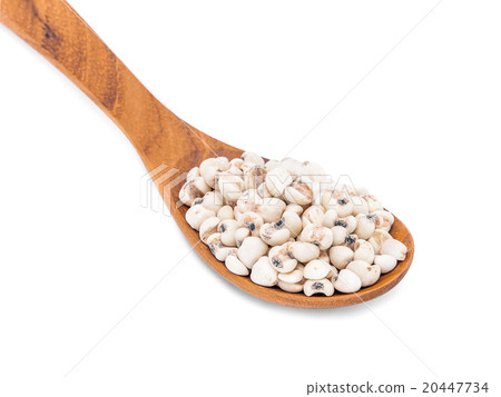 jobs tears with wooden spoon isolated on white 20447734