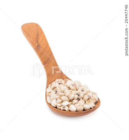 jobs tears with wooden spoon isolated on white jobs tears with wooden spoon isolated on white 20447746
