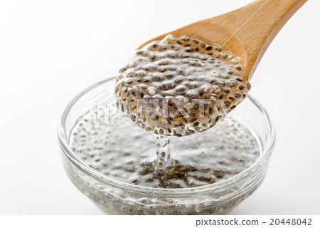 Chia seed Chia seed 20448042