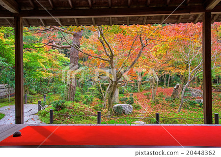Enkoji temple at falls, Kyoto 20448362