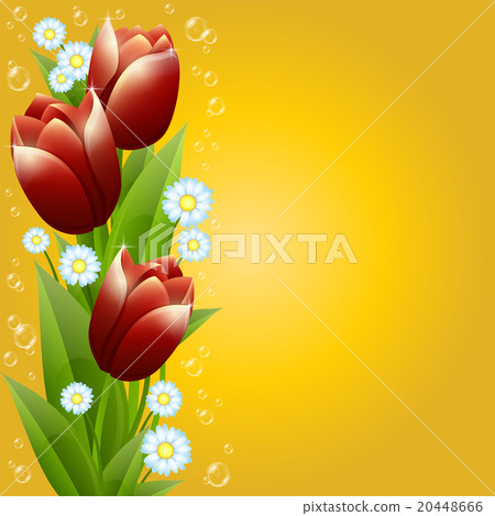 Bouquet of tulips and camomiles 20448666