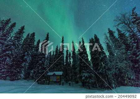 Aurora borealis (Northern Lights) in Finland Aurora borealis (Northern Lights) in Finland 20449092