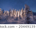 Camp fire in forest in Lapland 20449139