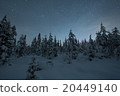Frozen forest in Finland, Lapland 20449140