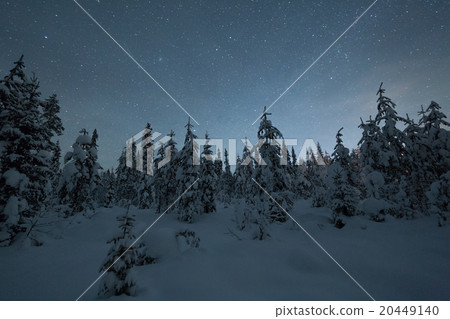 Frozen forest in Finland, Lapland 20449140