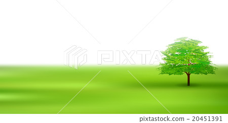 樹綠色葉子背景 20451391