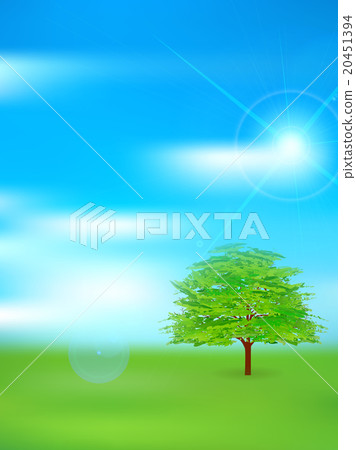 樹綠色葉子背景 20451394