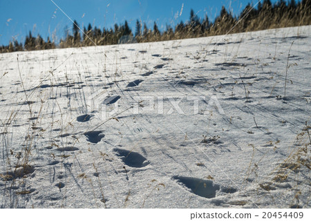 Footprint on snow and blue sky Footprint on snow and blue sky 20454409