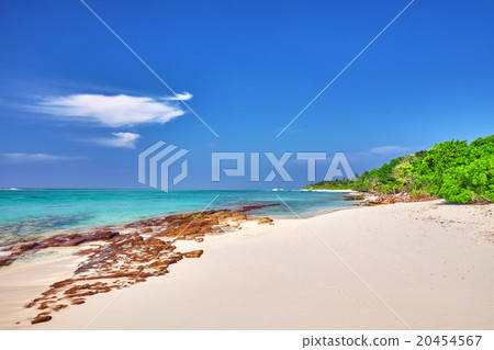 Shoreline of a tropical island in the Maldives  20454567