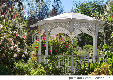 White gazebo in the afternoon, Western yakataya 20455026