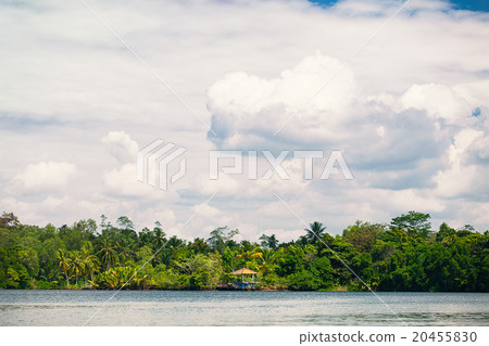 Lovely tropical coast 20455830