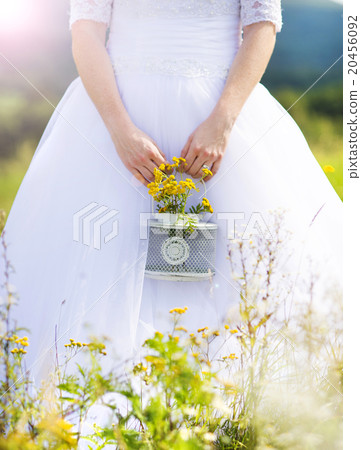 Beautiful young bride 20456092