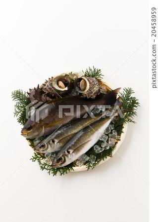 Serving fish seafood Serving fish seafood 20458959