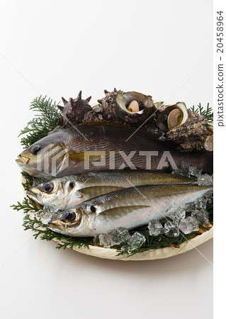 Serving fish seafood 20458964