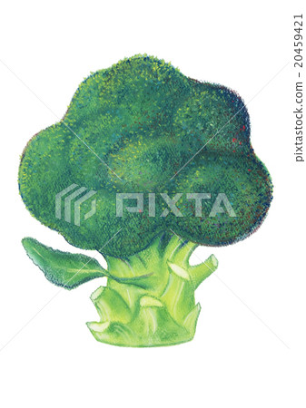 Broccoli Broccoli Broccoli Broccoli 20459421