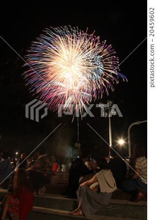 Komatsushima Port Festival Firework Display Komatsushima Port Festival Firework Display 20459602