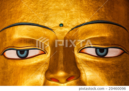 Sakyamuni Buddha statue face close up Sakyamuni Buddha statue face close up 20460096