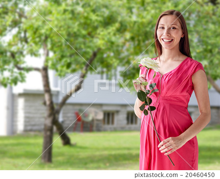 happy pregnant woman with rose flower 20460450