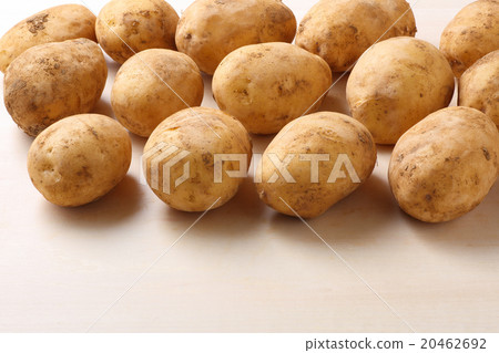 馬鈴薯的 20462692