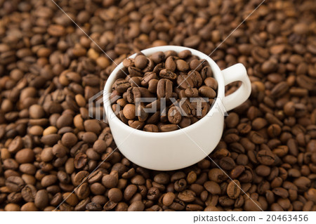 Coffee bean gold back Coffee bean gold back 20463456