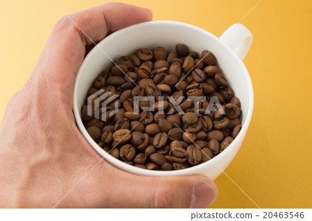 咖啡豆 咖啡豆 20463546