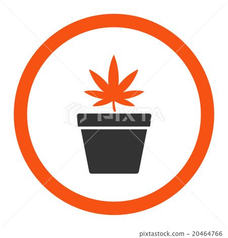 Cannabis Pot Rounded Vector Icon 20464766
