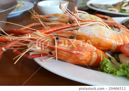 big grilled shrimp closeup big grilled shrimp closeup 20466511