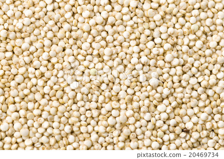 Quinoa Quinoa 20469734