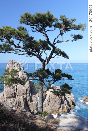 敦賀半島的Kagagasaki(敦賀市福井縣Shiraki) 敦賀半島的Kagagasaki(敦賀市福井縣Shiraki) 20470661