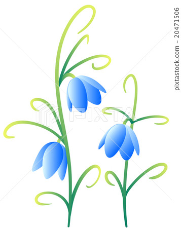 Amigasa lily (blue) 20471506