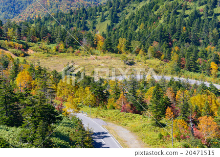 長野安藝的志賀高原 20471515