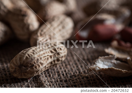 peanuts peanuts 20472632