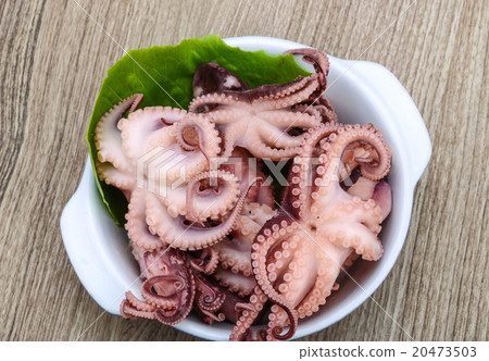 Marinated octopus 20473503