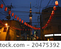 Sky tree and red lantern 20475392