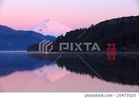 Lake Ashinoko Flounder Fuji 20477028