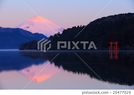 Lake Ashinoko Flounder Fuji Lake Ashinoko Flounder Fuji 20477029