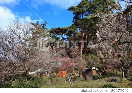 Atami plaza Atami plaza 20477041