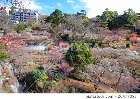 熱海廣場 20477055
