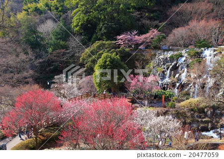 Atami plaza Atami plaza 20477059