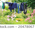 Laundry stand in the garden 20478067