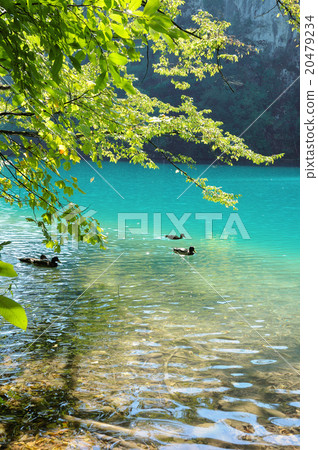 Blue lake Blue lake 20479234