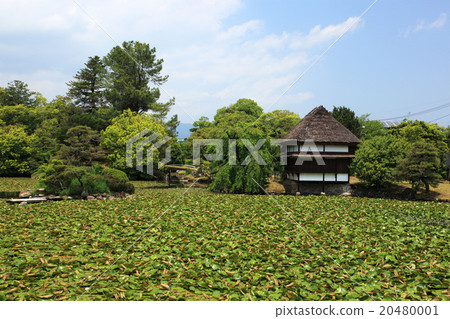 Spring Okayama prefecture Tsuyama city massacre paradise Spring Okayama prefecture Tsuyama city massacre paradise 20480001