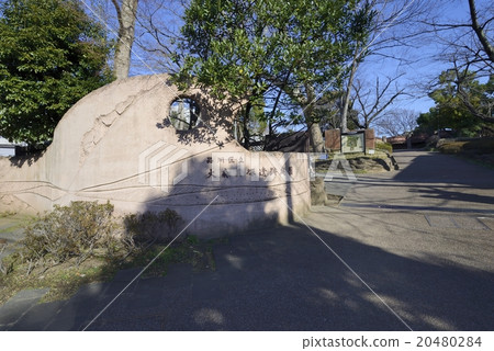 Omori Kaizuka Ruins Trace Garden Omori Kaizuka Ruins Trace Garden 20480284