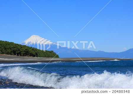 來自Miho no Matsubara的富士山 20480348